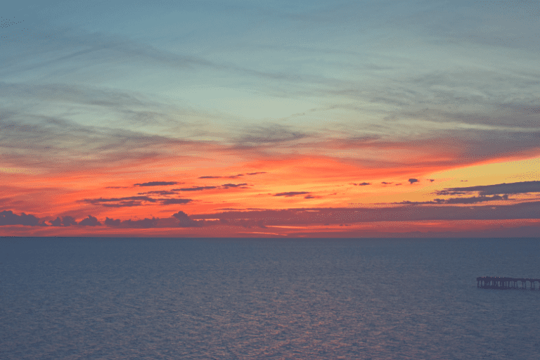 8 BEST Inshore Saltwater Spinning Reels (Reviewed in 2024)