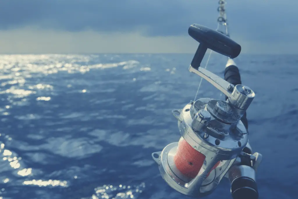 A saltwater rod and reel combo overlooking the sea