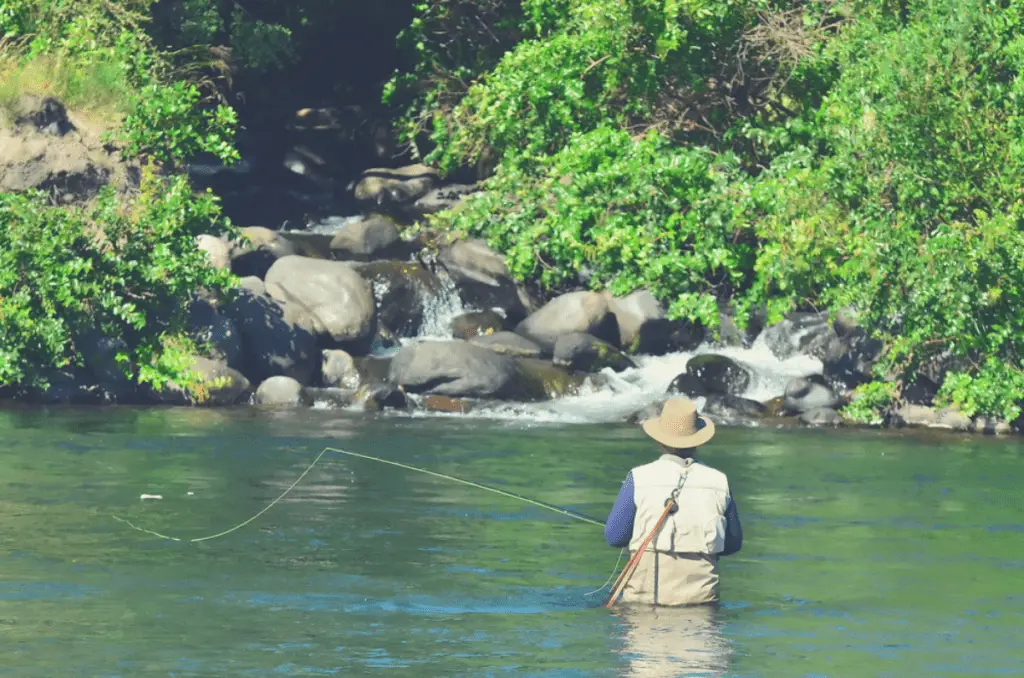 Man Fly Fishing