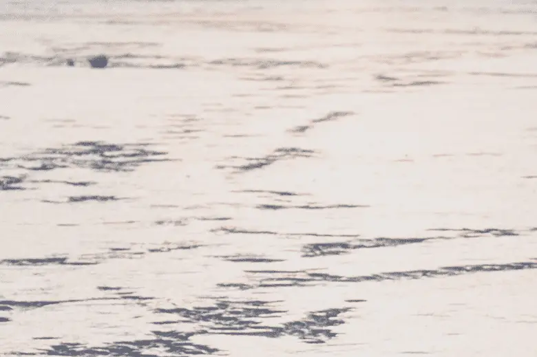 Picture of Ice