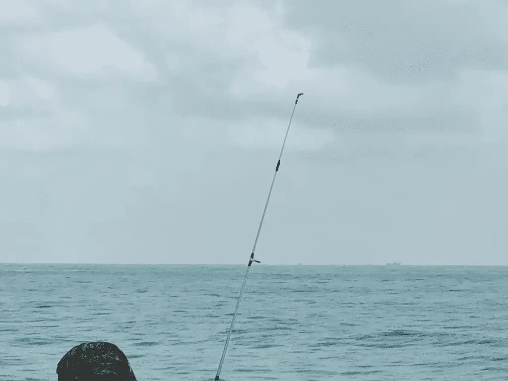 Man holding a fishing rod