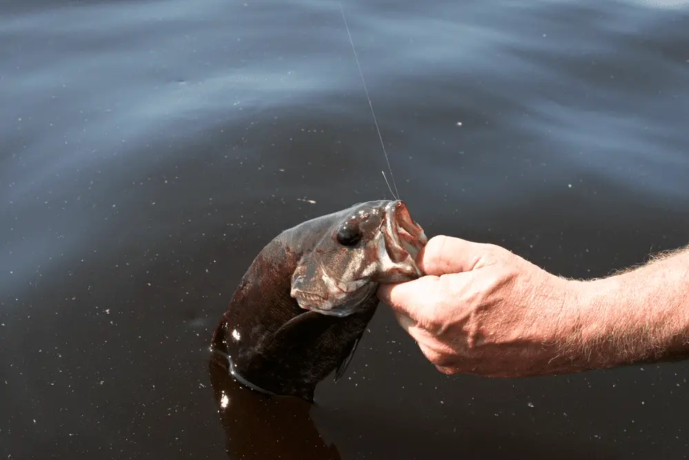 Man holding bass