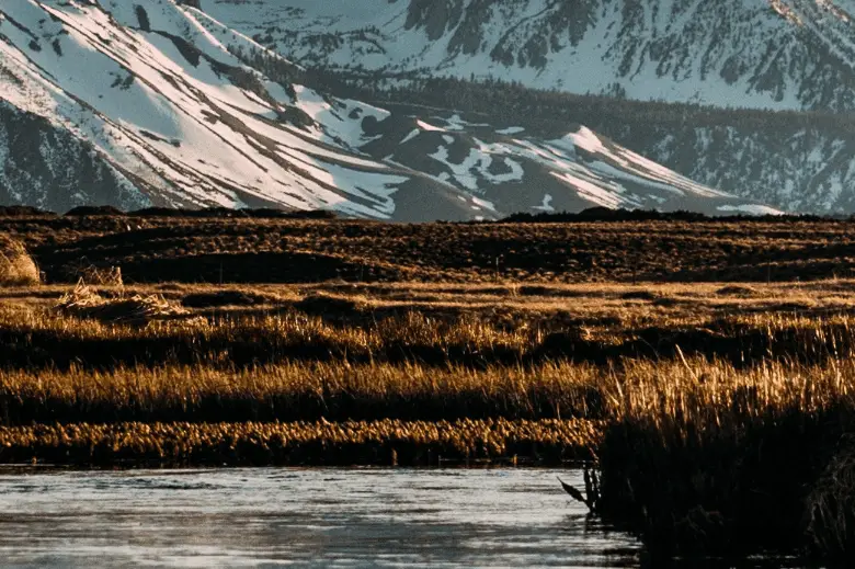 landscape photo of man fishing on river 