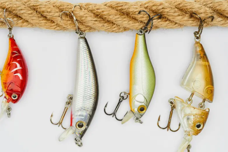 A picture of fishing bait