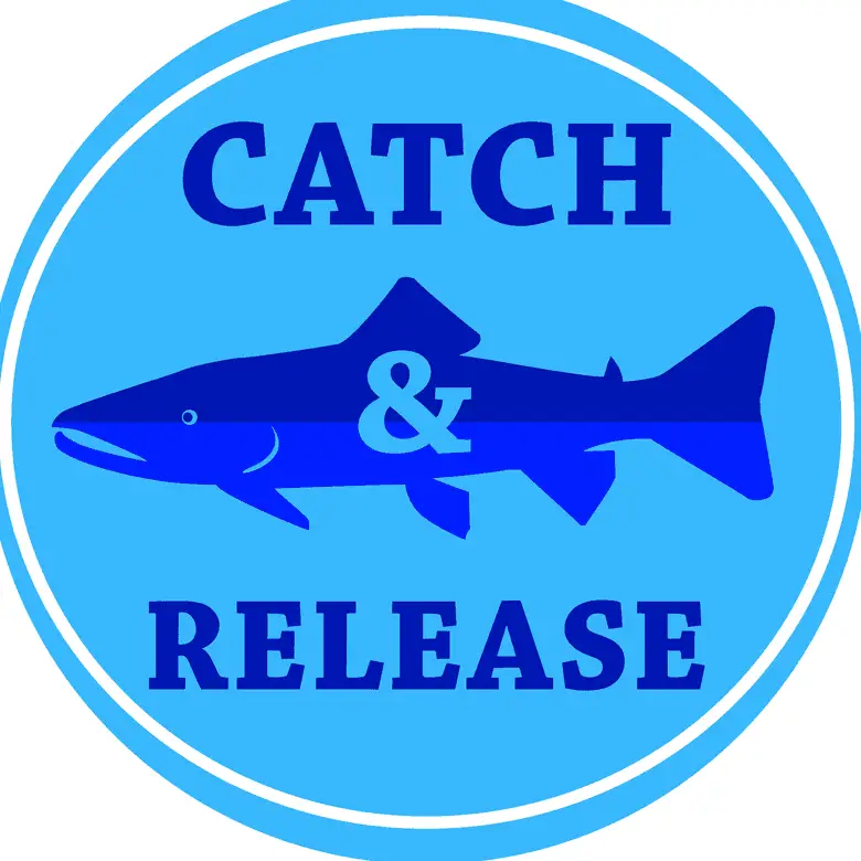 catch and release fishing