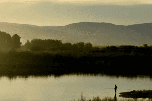 A bird's eye view of person fishing on river