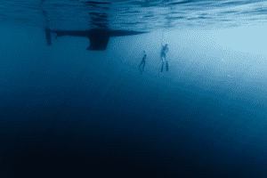 Freedivers in the water