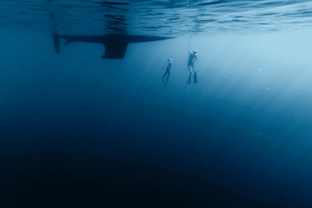 Freedivers in the water