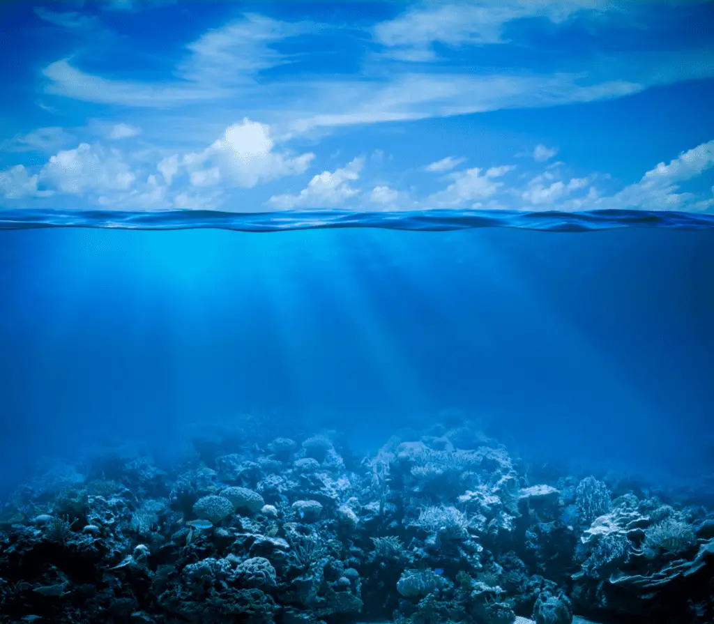 Underwater coral reef