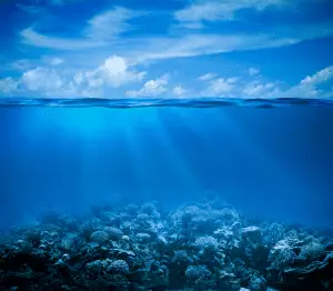 Underwater coral reef