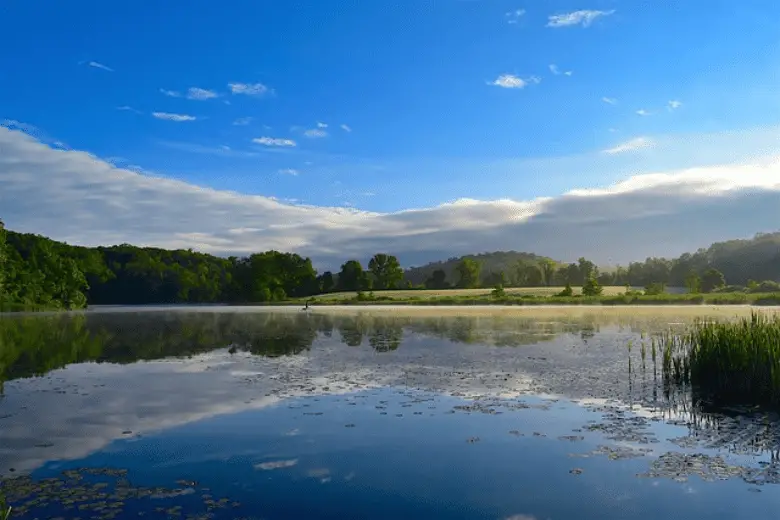 Picture of a fishing lake in spring