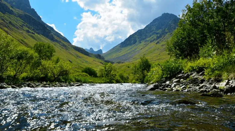 Picture of a flowing river
