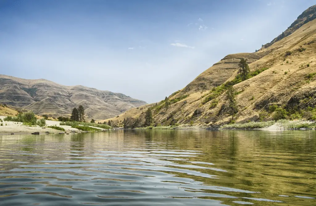 Picture of a calm salmon river