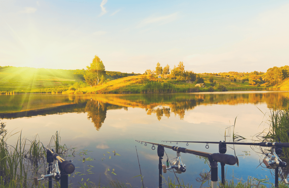 Pciture of fishing on the lake