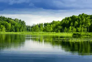 Picture of a lake and forest