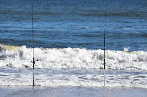 surf fishing poles standing up in the beach