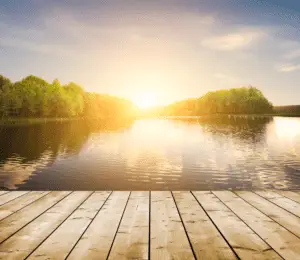 Forest lake in sunset