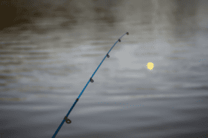 Bobber floating in lake