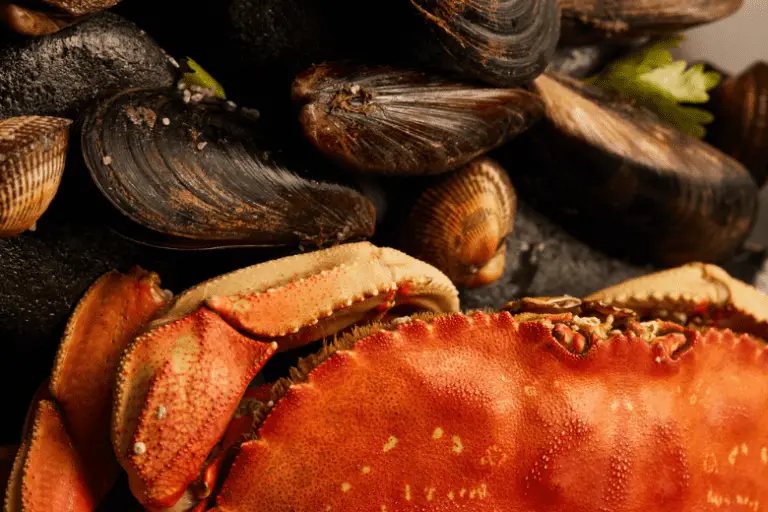 How To Use A Crab Trap How They Work (With Tips & Tricks)