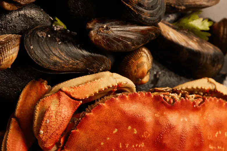 Close up view of uncooked crab