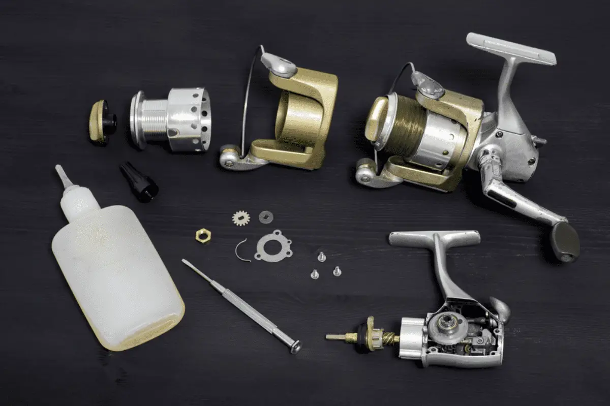 The Best Fishing Reel Grease Oil What Kind Is The Best The Best Fishing Reel Grease Oil What Kind Is The Best