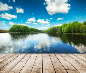 Picture of a Forest Lake