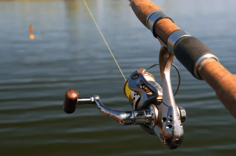 spinning reel