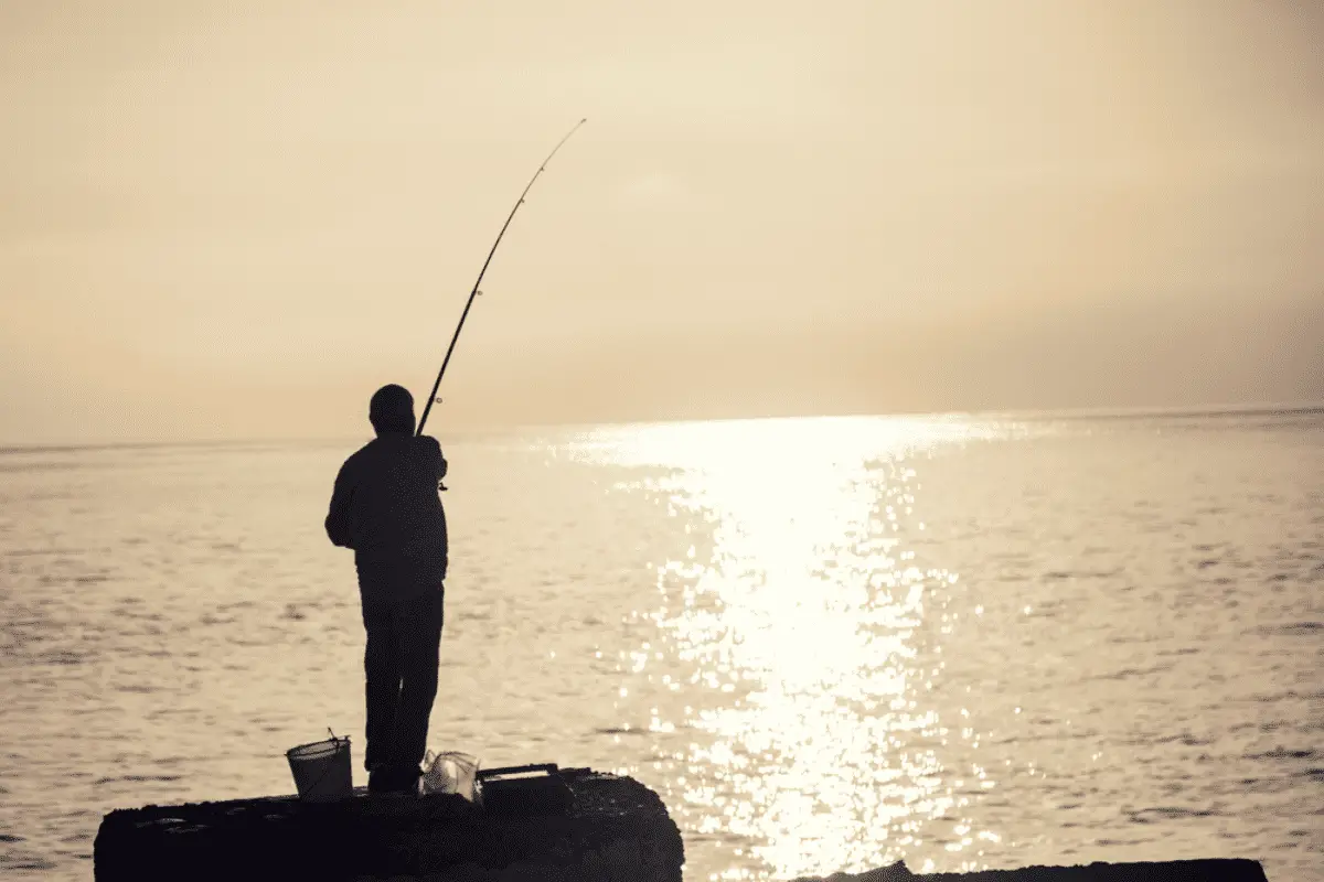 Man fishing in the morning