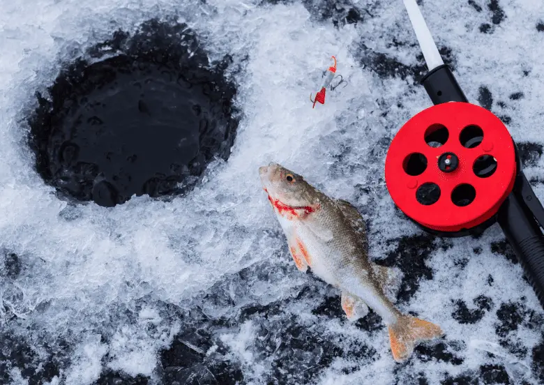 Man ice fishing on a lake