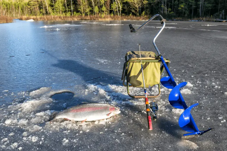 A rainbow trout on a lake of ice