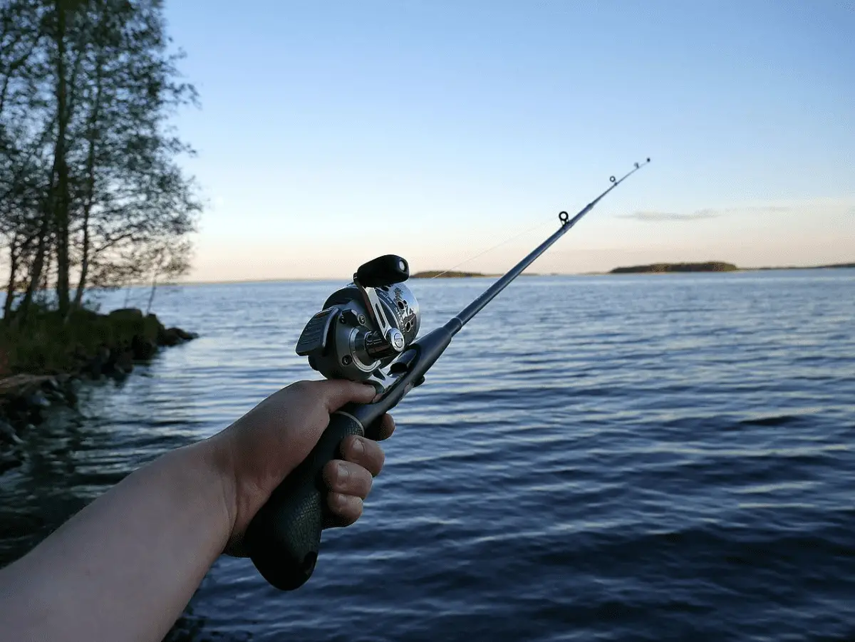 hand holding fishing rod over water