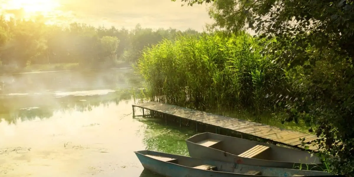 Picture of a fishing boat on the river