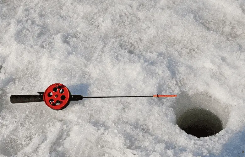 Can Ice Fishing Damage my Fish Finder