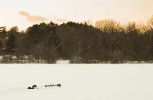 ice auger for fishing left on a frozen lake at sunset