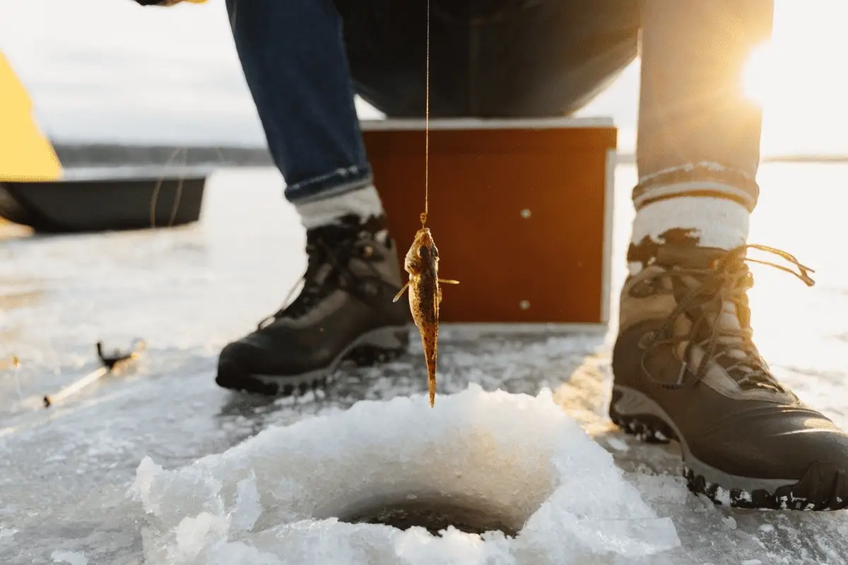 Best Ice Fishing Rods