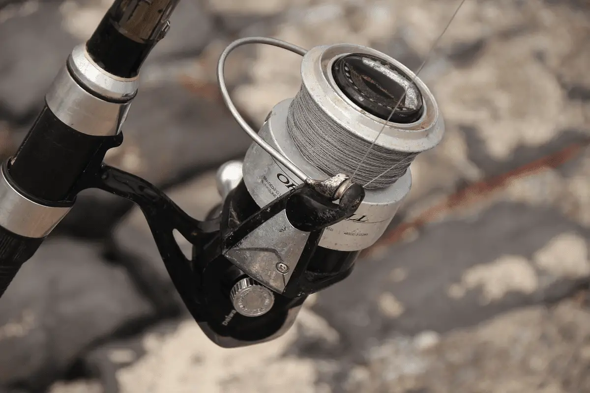 close-up shot of fishing line on a reel
